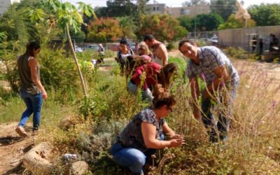 תמונות הגלריה , יום אוריינטציה לסטודנטים של שבילים ונתיבים
